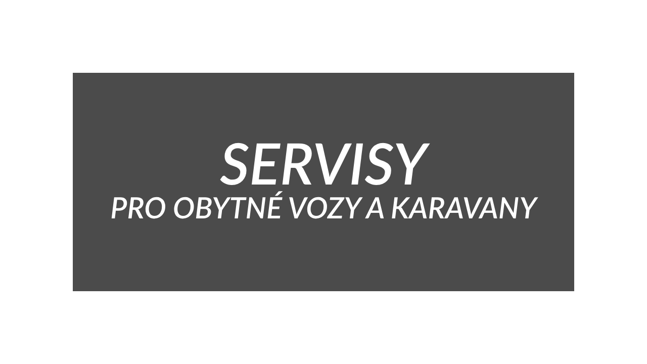 Servisy